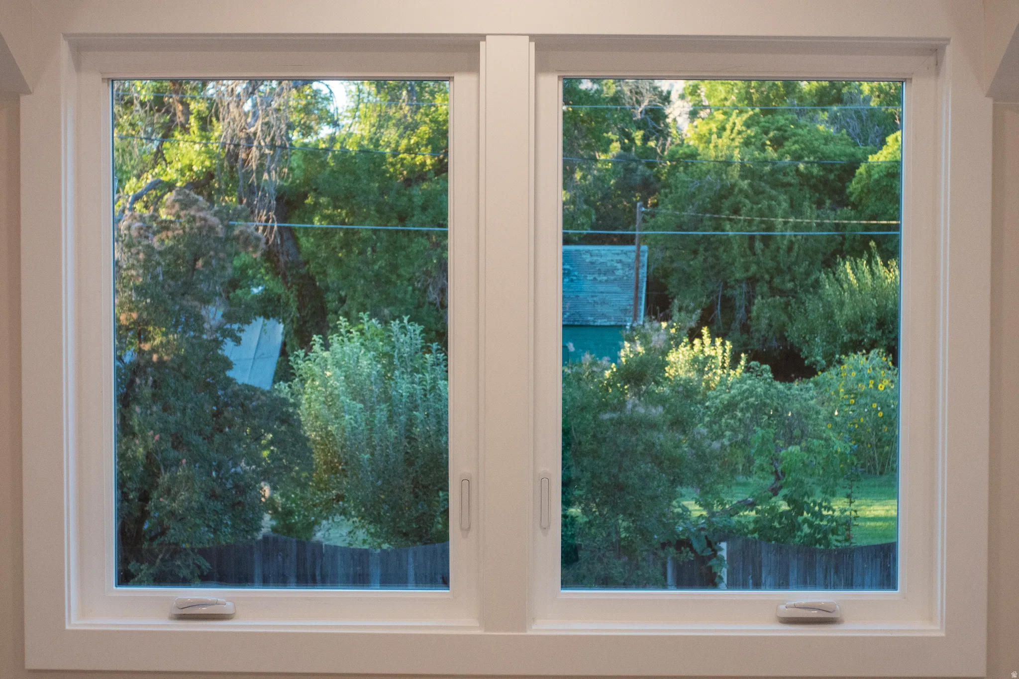 Dual white-framed windows with polished hardware, showcasing a verdant tree-lined perimeter and a wood fence