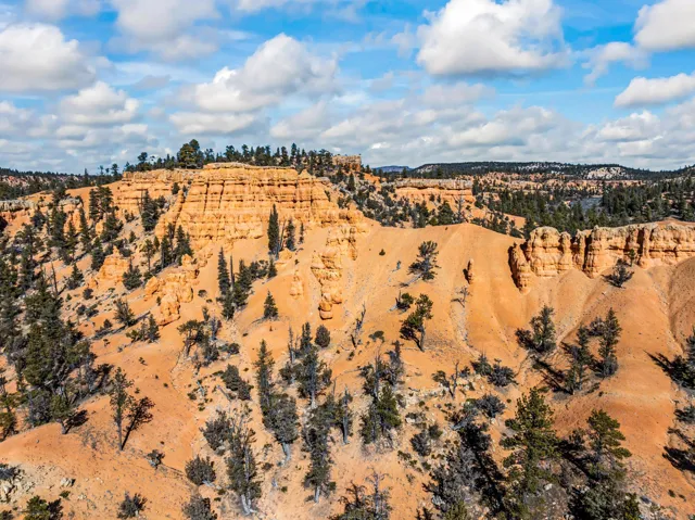 1121 W Utah State Hwy 12, Bryce, Utah 84764