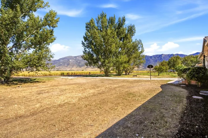 Expansive outdoor area with mature trees, mountain backdrop, and a visible basketball hoop
