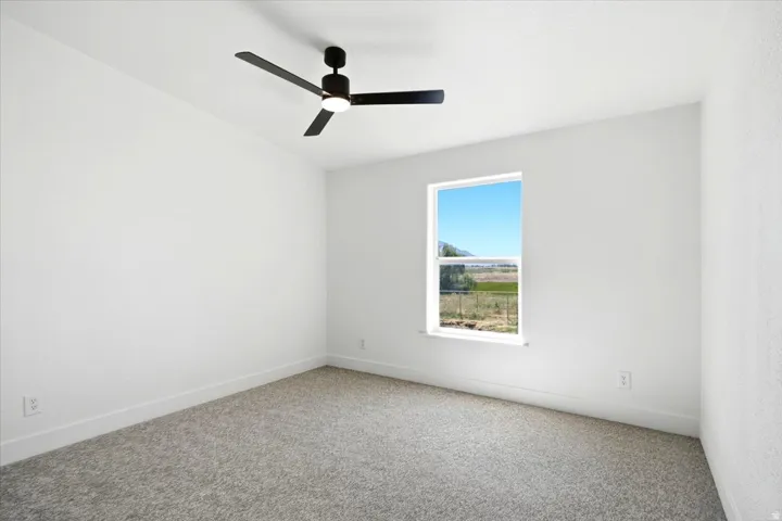 Bright interior space featuring a window, ceiling fan, and carpeting