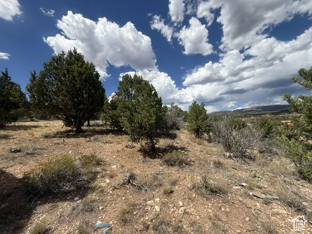 Expansive undeveloped land featuring natural vegetation, scattered trees, and a distant mountainous backdrop