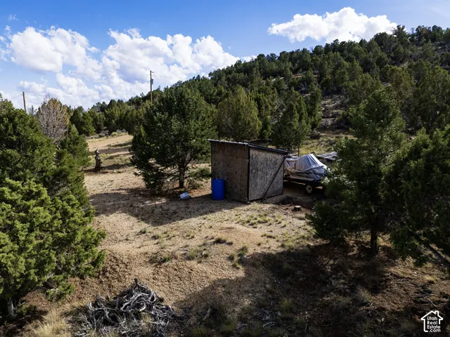 Wooded hillside terrain with scattered evergreen trees