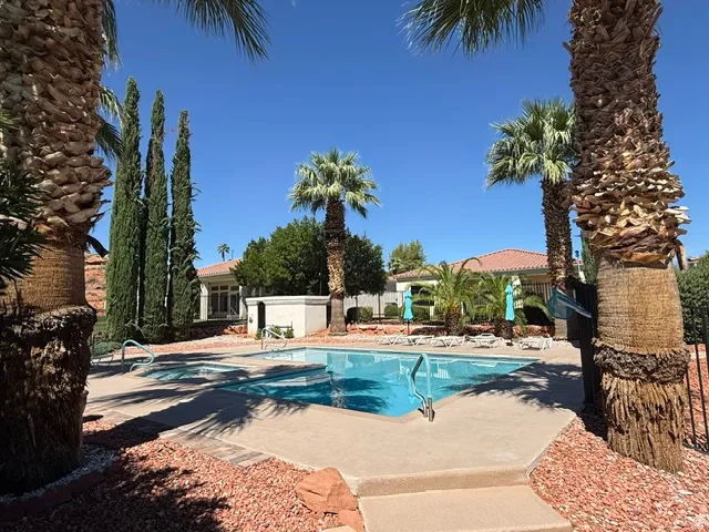 Outdoor swimming pool with integrated spa, surrounded by a concrete deck and mature palm trees