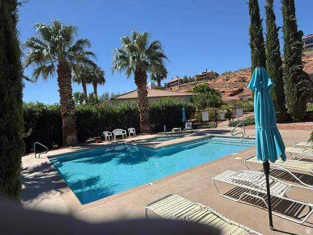 Rectangular outdoor pool with concrete decking, surrounded by mature palm trees and established hedges