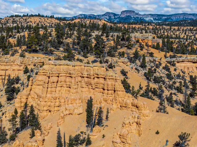 1701 W Utah State Highway 12, Bryce, Utah 84764