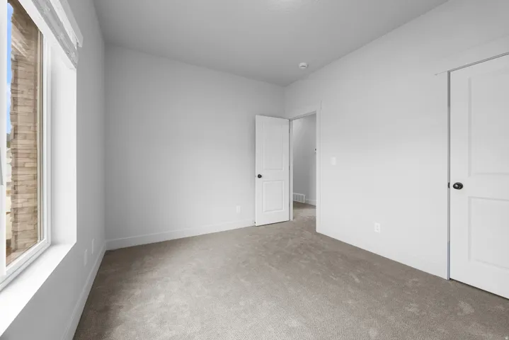 Neutral gray carpeting
