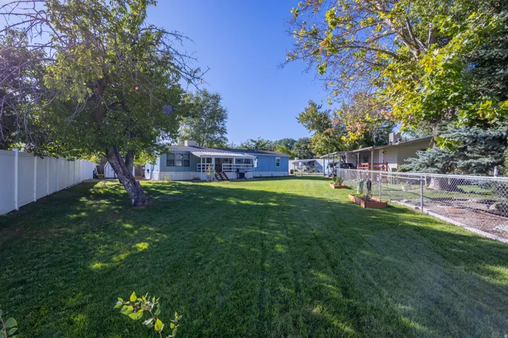 Expansive backyard featuring a manicured lawn, mature trees, a white privacy fence, and a chain-link fence