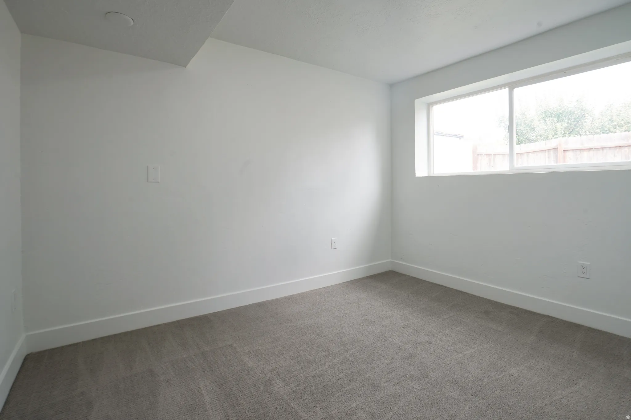 Recessed ceiling light, neutral wall paint, white trim, and carpet flooring