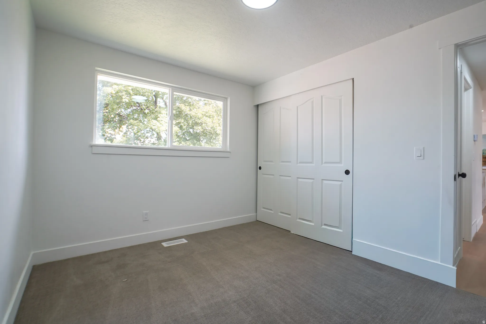 Neutral-toned carpet flooring with white trim and a dual-pane window
