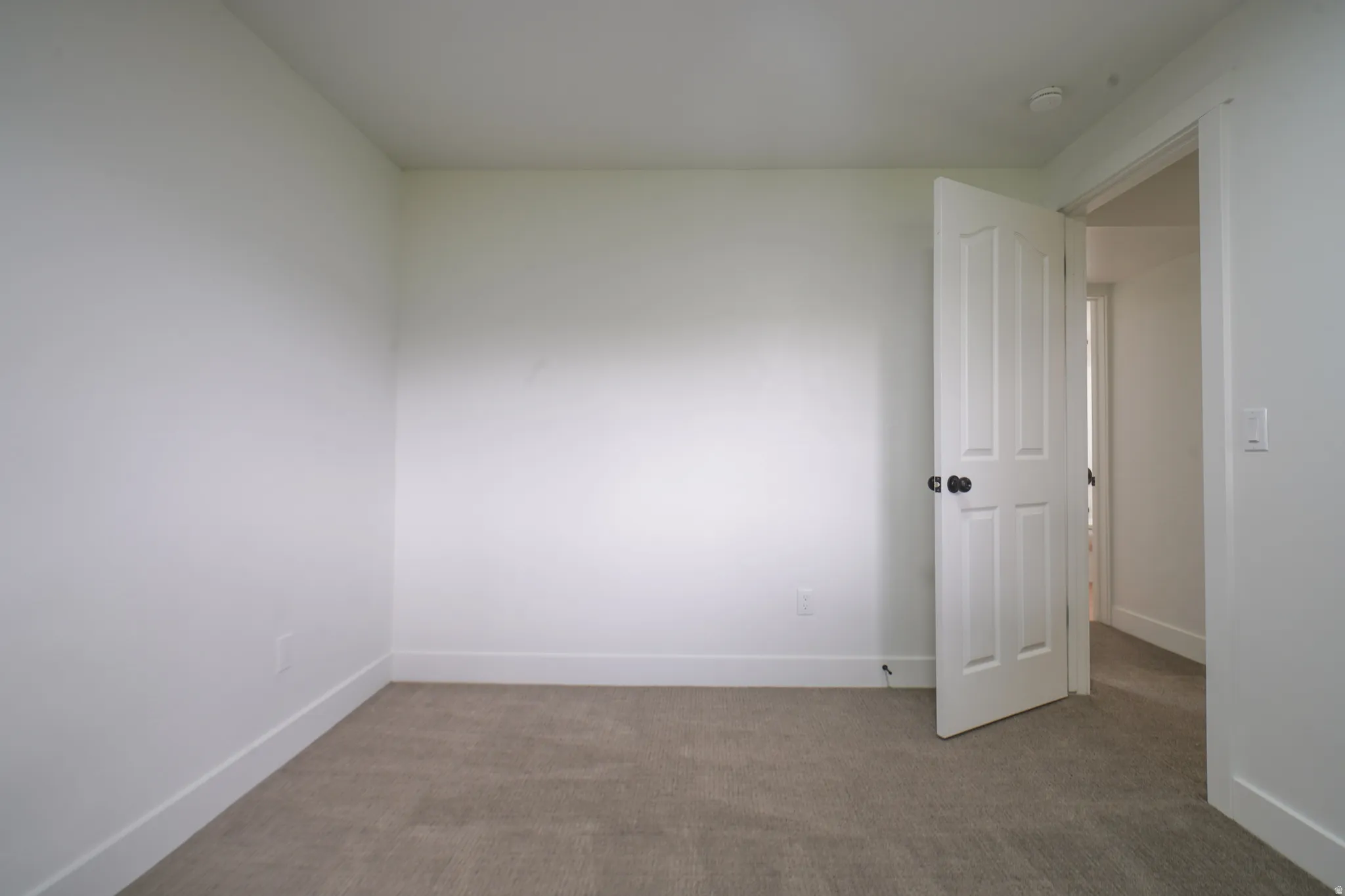 Neutral wall paint with carpet flooring, white trim, and a paneled interior door with matte black hardware