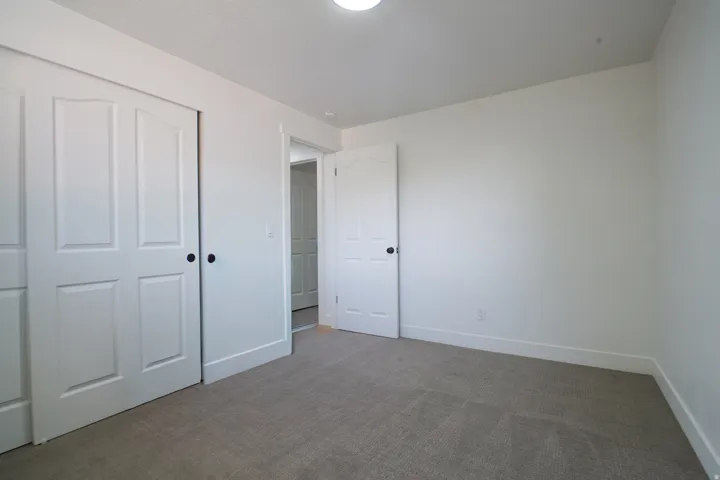 Light gray carpeting, white walls, white paneled doors, and a ceiling-mounted light fixture