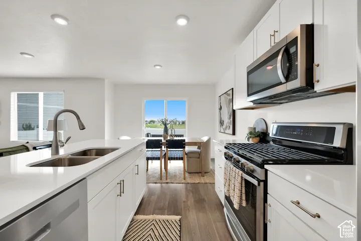 Kitchen featuring white cabinetry, stainless steel appliances, a double basin sink, light-toned countertops, and wood-finish flooring