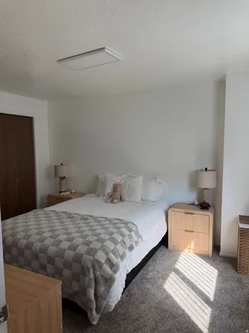 Plush carpet flooring, neutral wall tones, and a rectangular ceiling-mounted light fixture