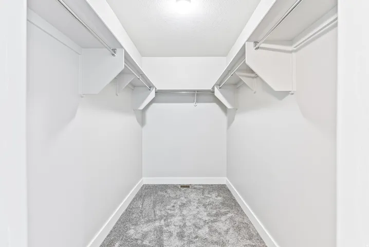 Walk-in closet with white shelving, hanging rods, and gray carpet flooring