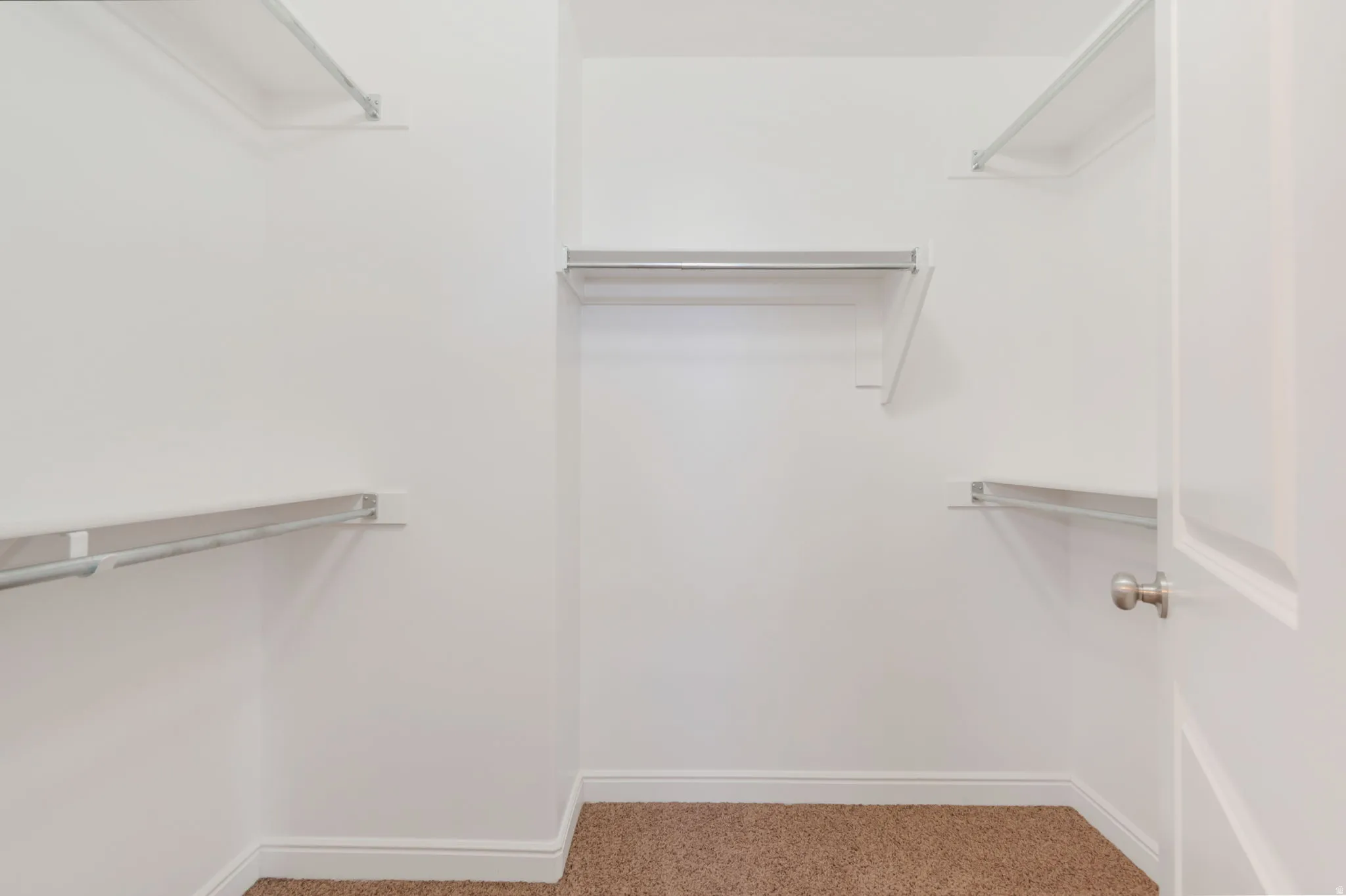 Primary walk-in closet featuring white walls, wire shelving, hanging rods, and carpet flooring