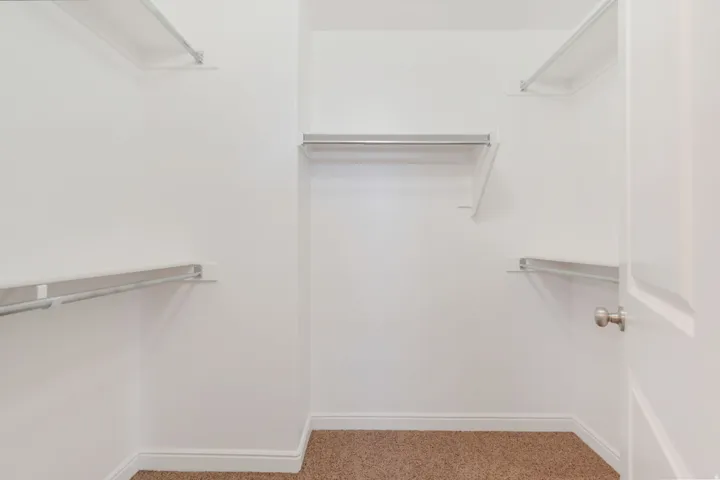 Primary walk-in closet featuring white walls, wire shelving, hanging rods, and carpet flooring