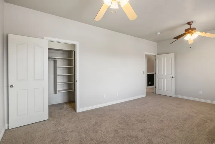 Carpeted room with light gray walls, white trim, and two ceiling fans with light fixtures
