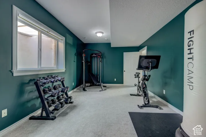 Recessed lighting illuminating a spacious room with carpeting, a white interior door, and a single window with white trim