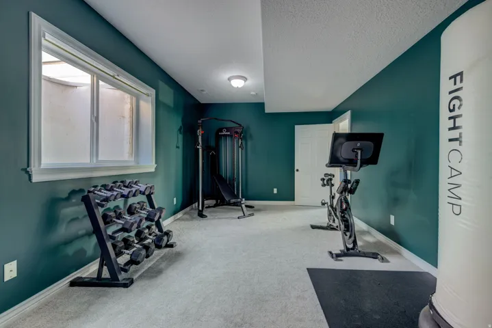 Recessed lighting illuminating a spacious room with carpeting, a white interior door, and a single window with white trim