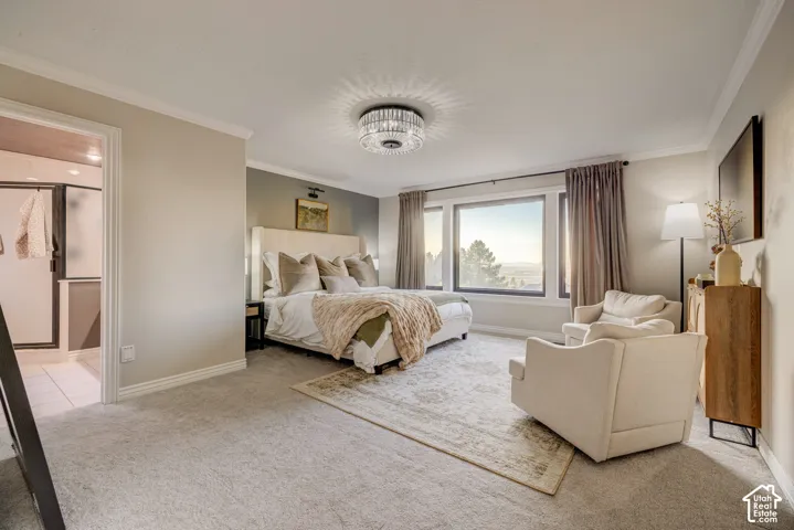Expansive room featuring wall-to-wall carpeting and crown molding
