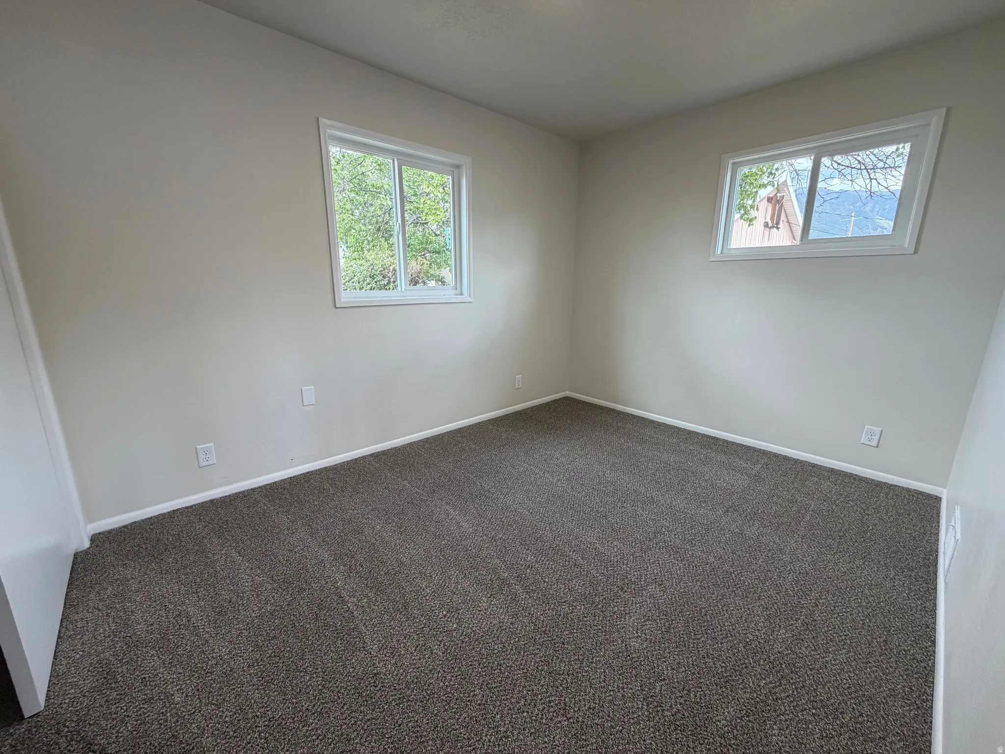 Plush carpet flooring, light neutral wall paint, white trim, and two windows