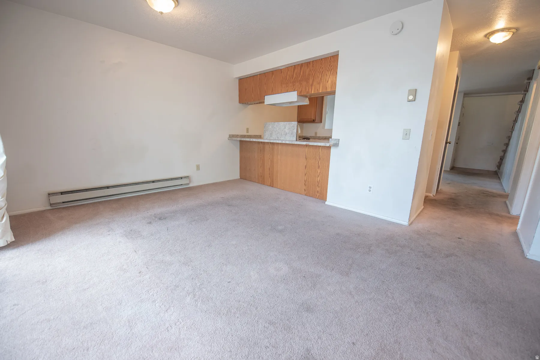 Carpeted living area with baseboard heating