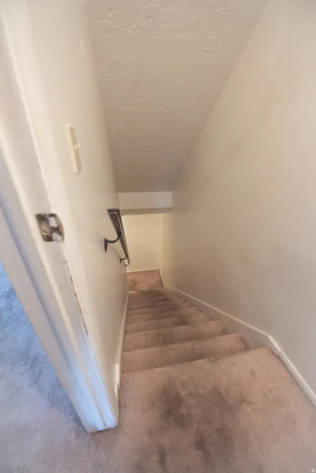 Carpeted staircase with a dark-finish handrail