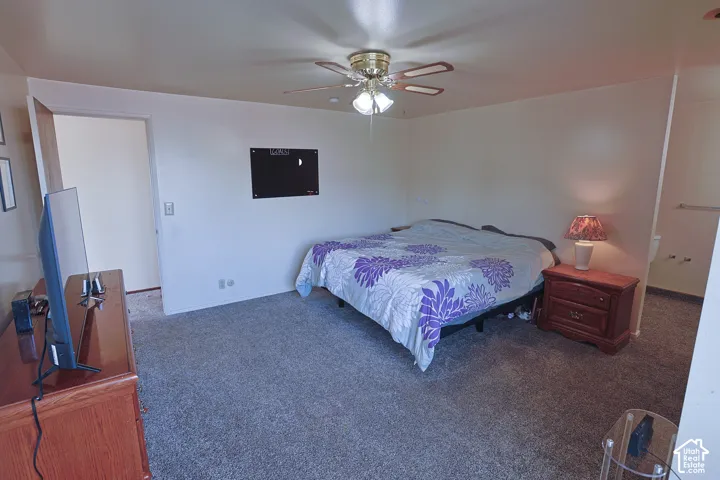 Carpeted room with a ceiling fan, light-toned walls, and an open doorway