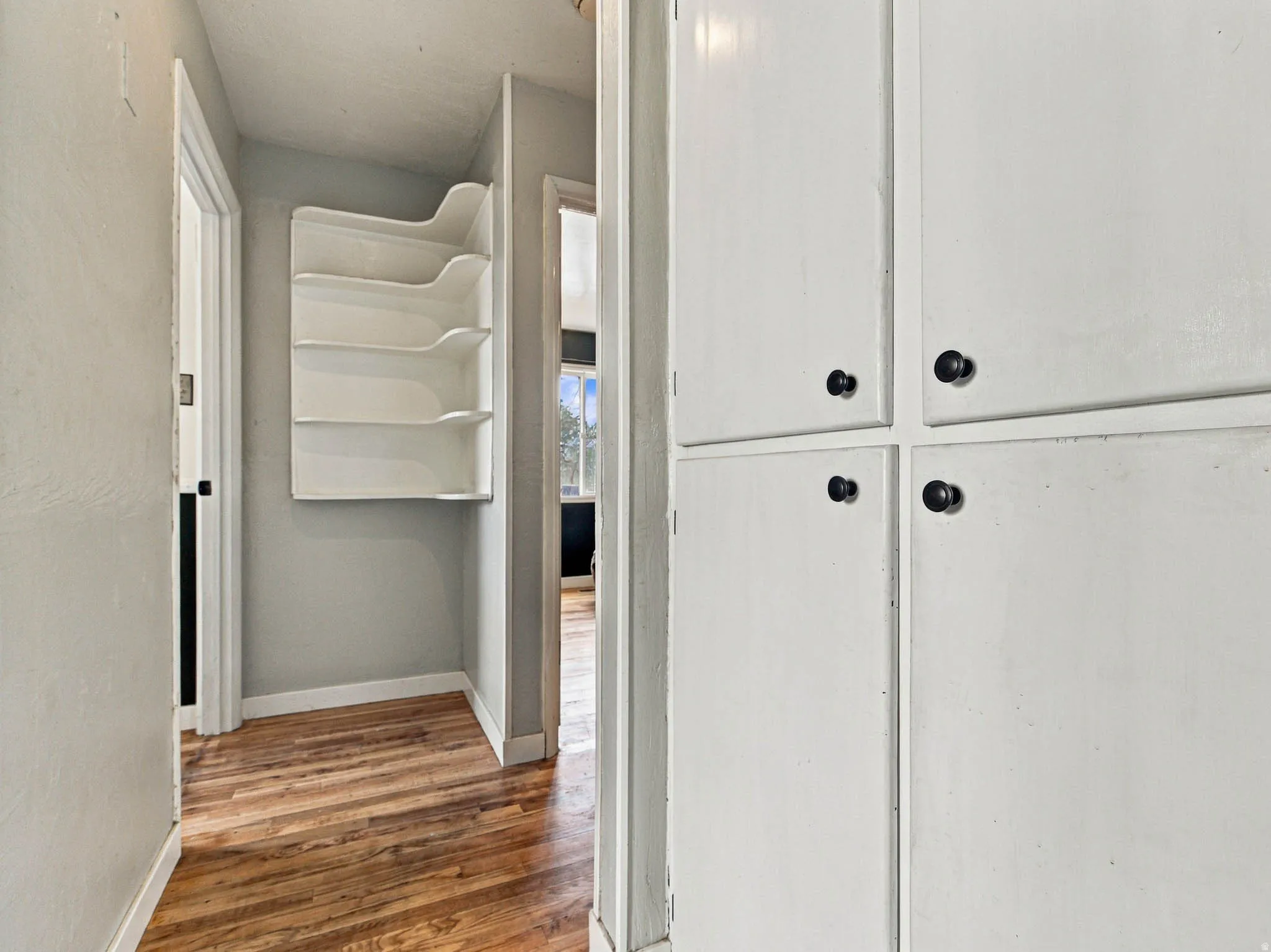 Spacious walk-in closet featuring built-in shelving with multiple tiers for organized storage, wood-finish flooring, and ample natural light