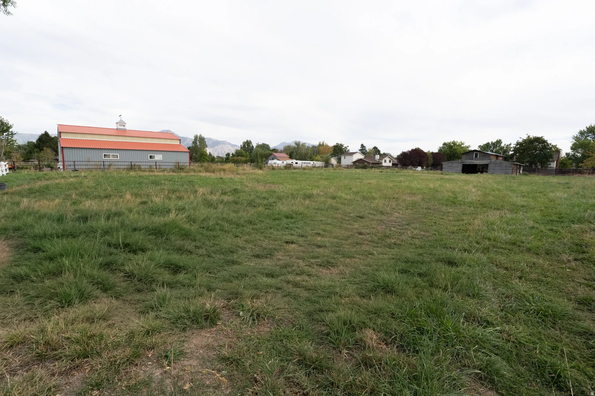 Expansive grassy area