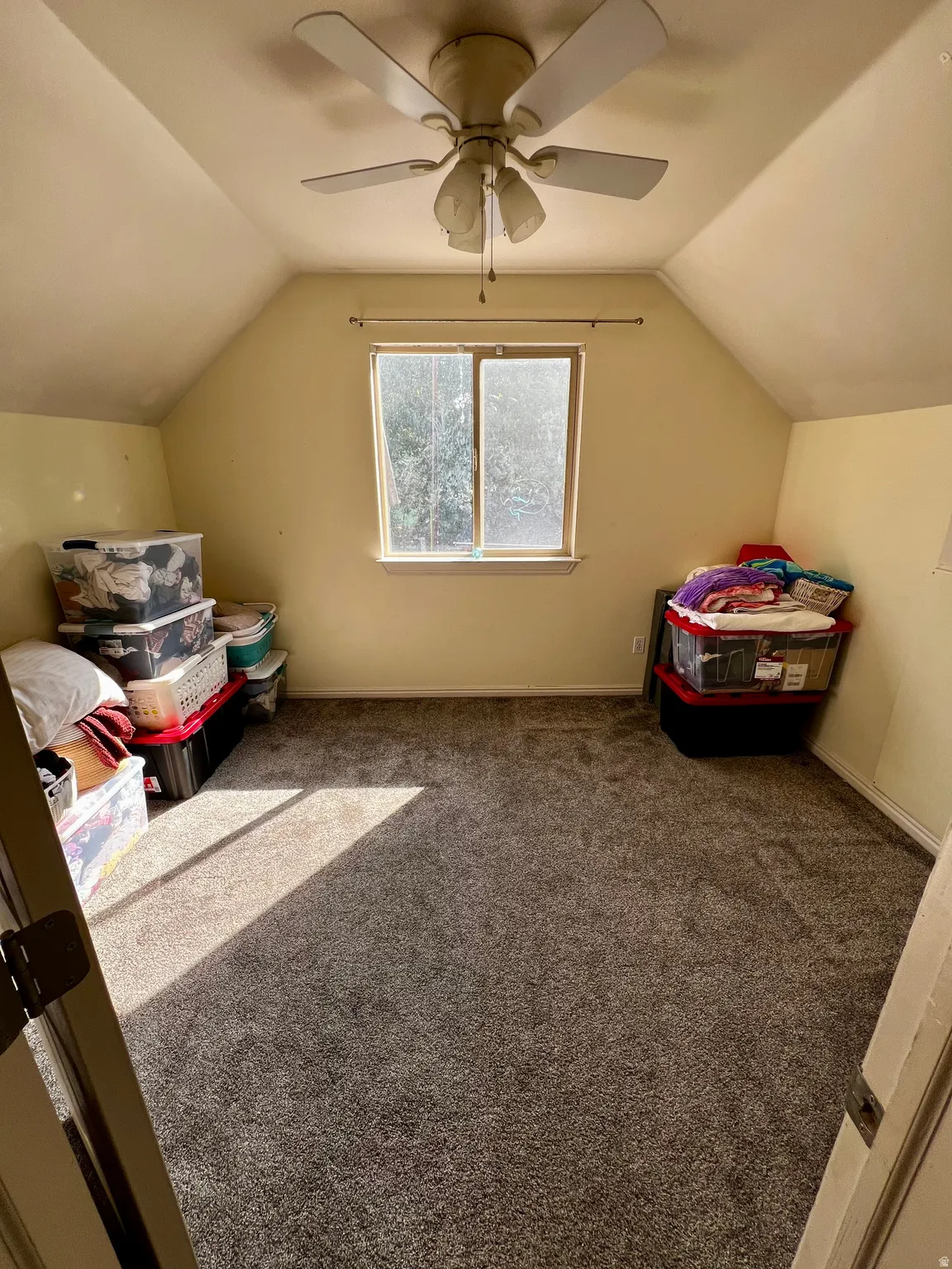 Carpeted room featuring sloped ceilings, a ceiling fan with integrated lighting, and a single window