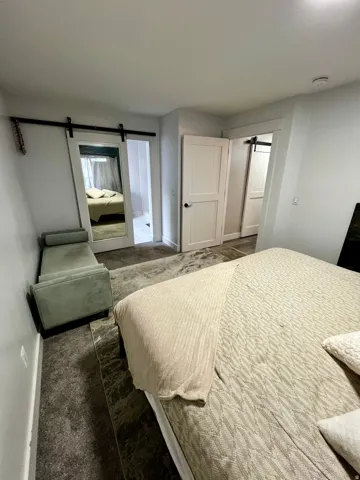 Barn door with full-length mirror, wood-finish flooring, two panel doors, and recessed ceiling light