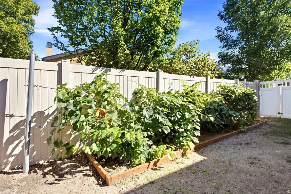 Raised garden beds with established vegetation, a white privacy fence, and a white gate