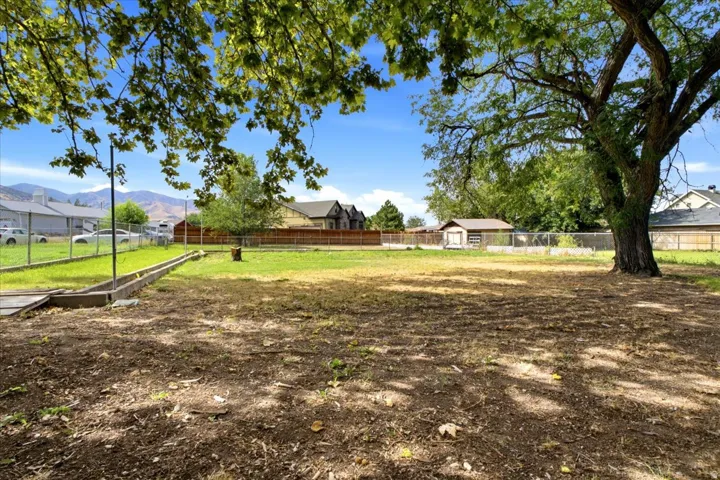 Expansive outdoor space featuring a mature shade tree, a shed structure, and a perimeter chain-link fence