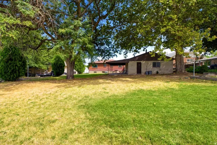 Expansive lawn with mature trees and a detached structure featuring a covered patio
