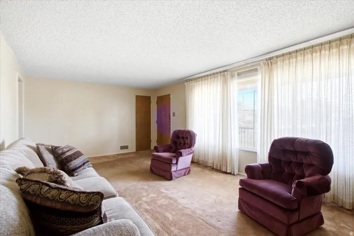 Textured ceiling, carpeted flooring, and light-colored walls