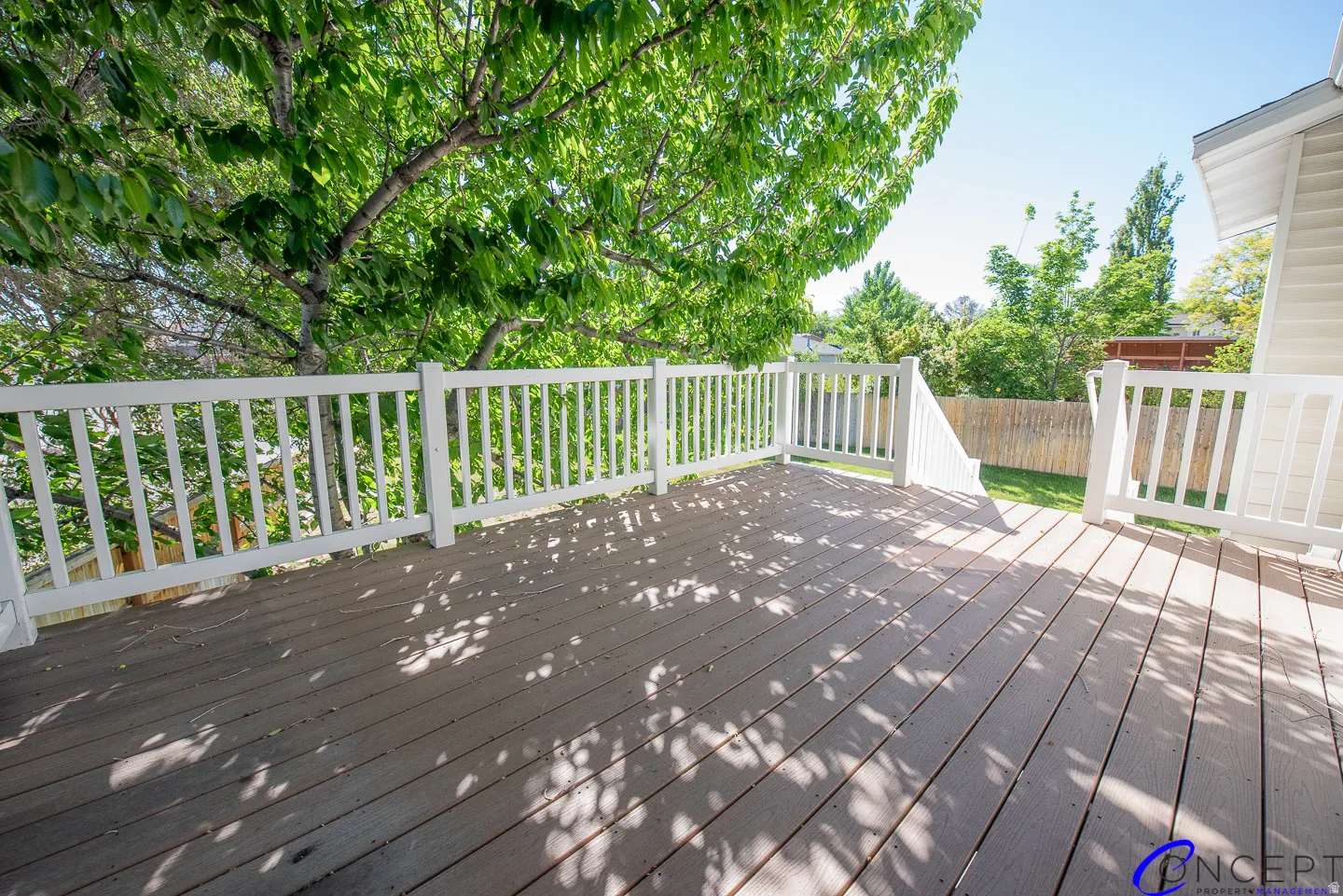 Spacious outdoor deck with wood-finish flooring, white railings, and mature trees