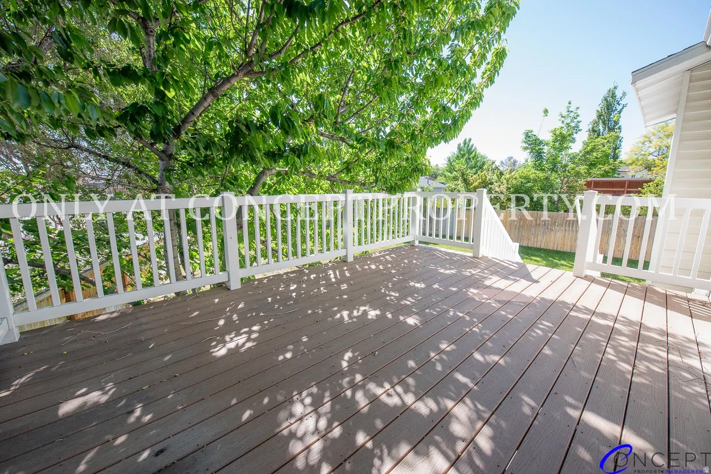 Expansive wood-finish deck with white railings, mature trees, and a privacy fence