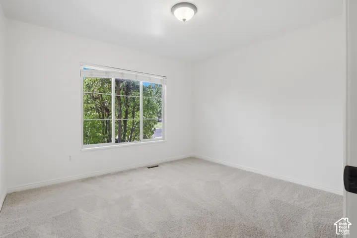 Light-colored carpeting with a neutral wall finish, large multi-pane window, and a ceiling-mounted light fixture