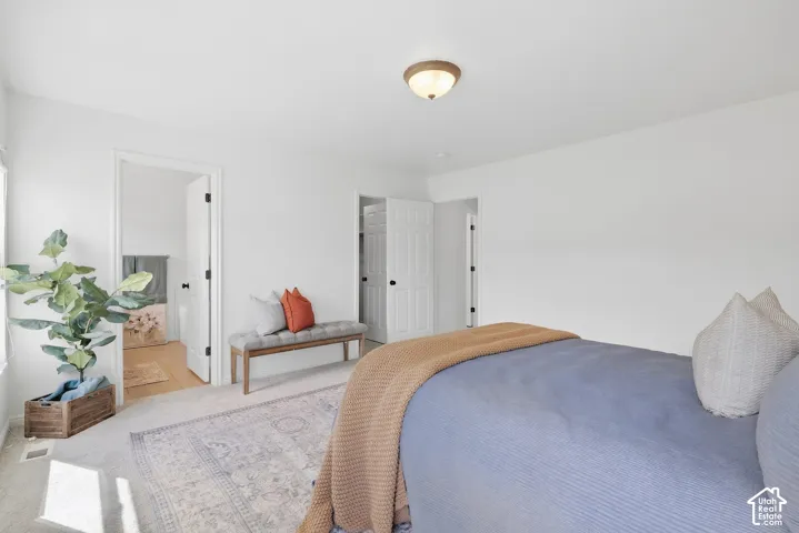 Neutral wall paint, ceiling-mounted light fixture, white interior doors, and carpeted flooring