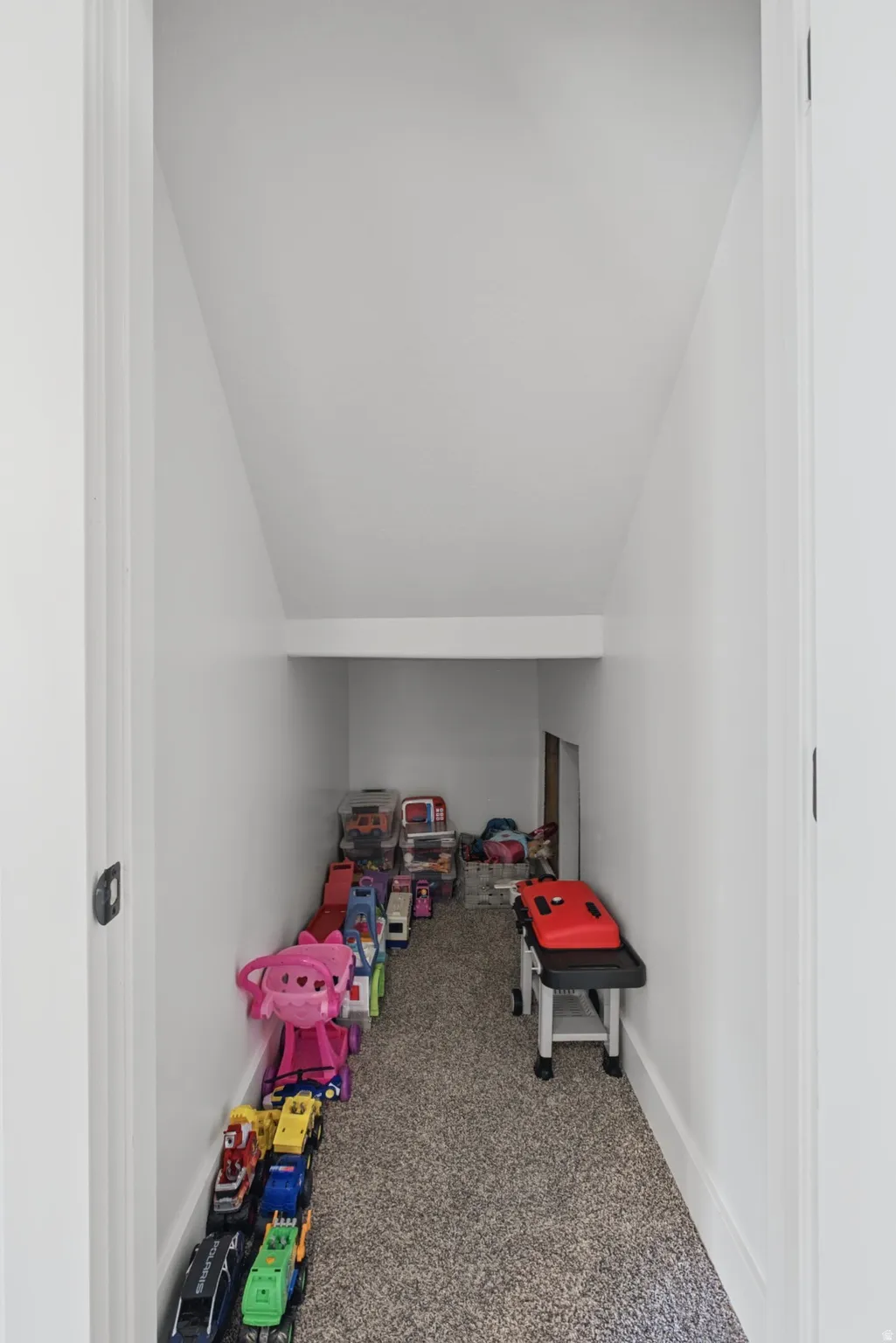 Carpeted under-stair storage area with white painted walls and trim
