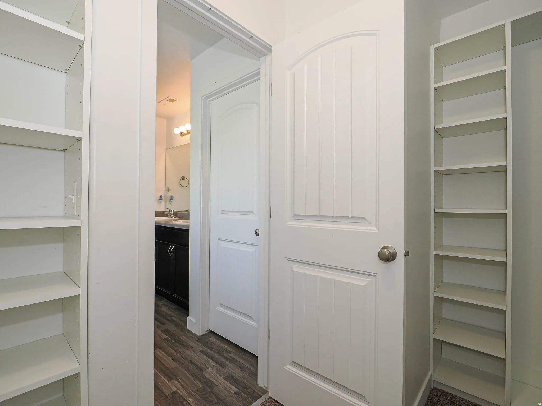 Built-in shelving units, paneled interior door with arched top, wood-finish flooring, dark wood vanity with light countertop, and wall-mounted vanity lighting