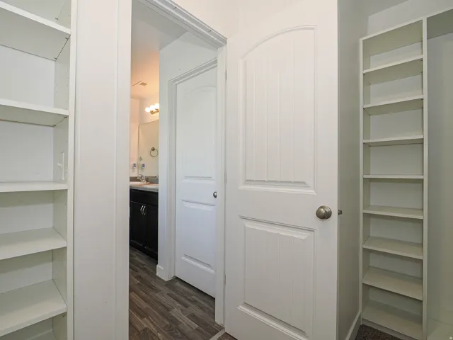 Built-in shelving units, paneled interior door with arched top, wood-finish flooring, dark wood vanity with light countertop, and wall-mounted vanity lighting