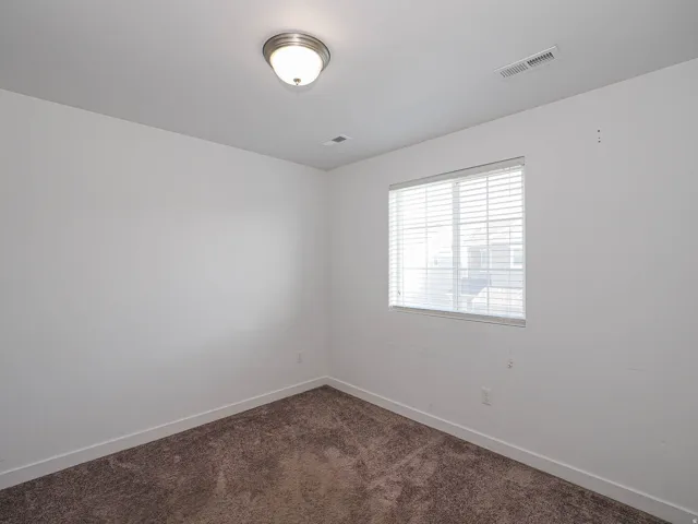 Neutral wall color, textured carpet, window with blinds, ceiling light fixture