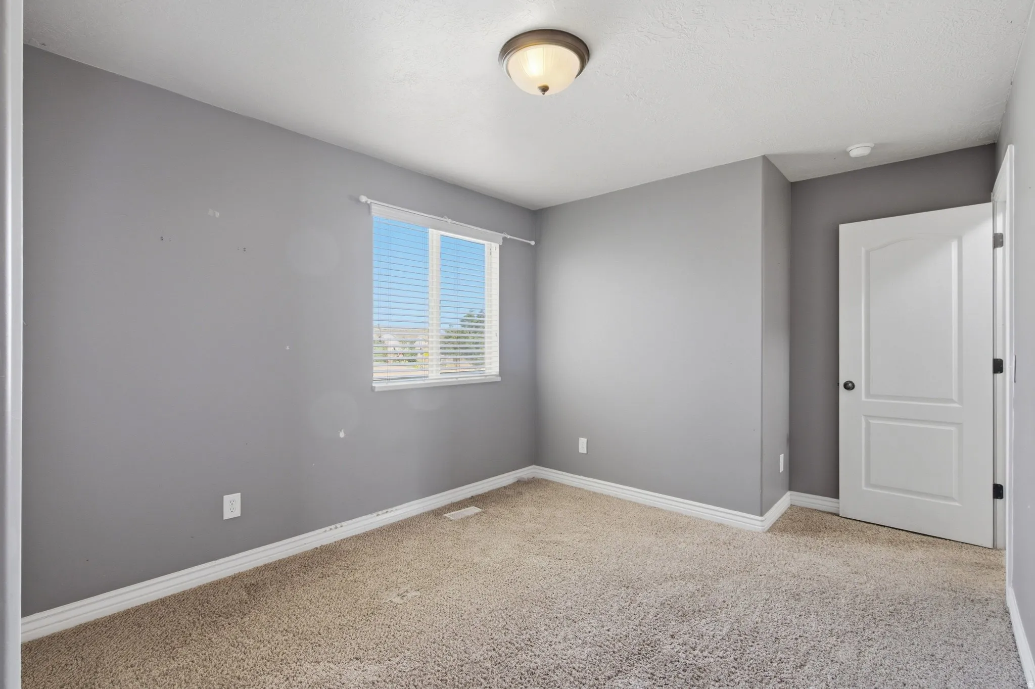 Neutral gray walls with white trim