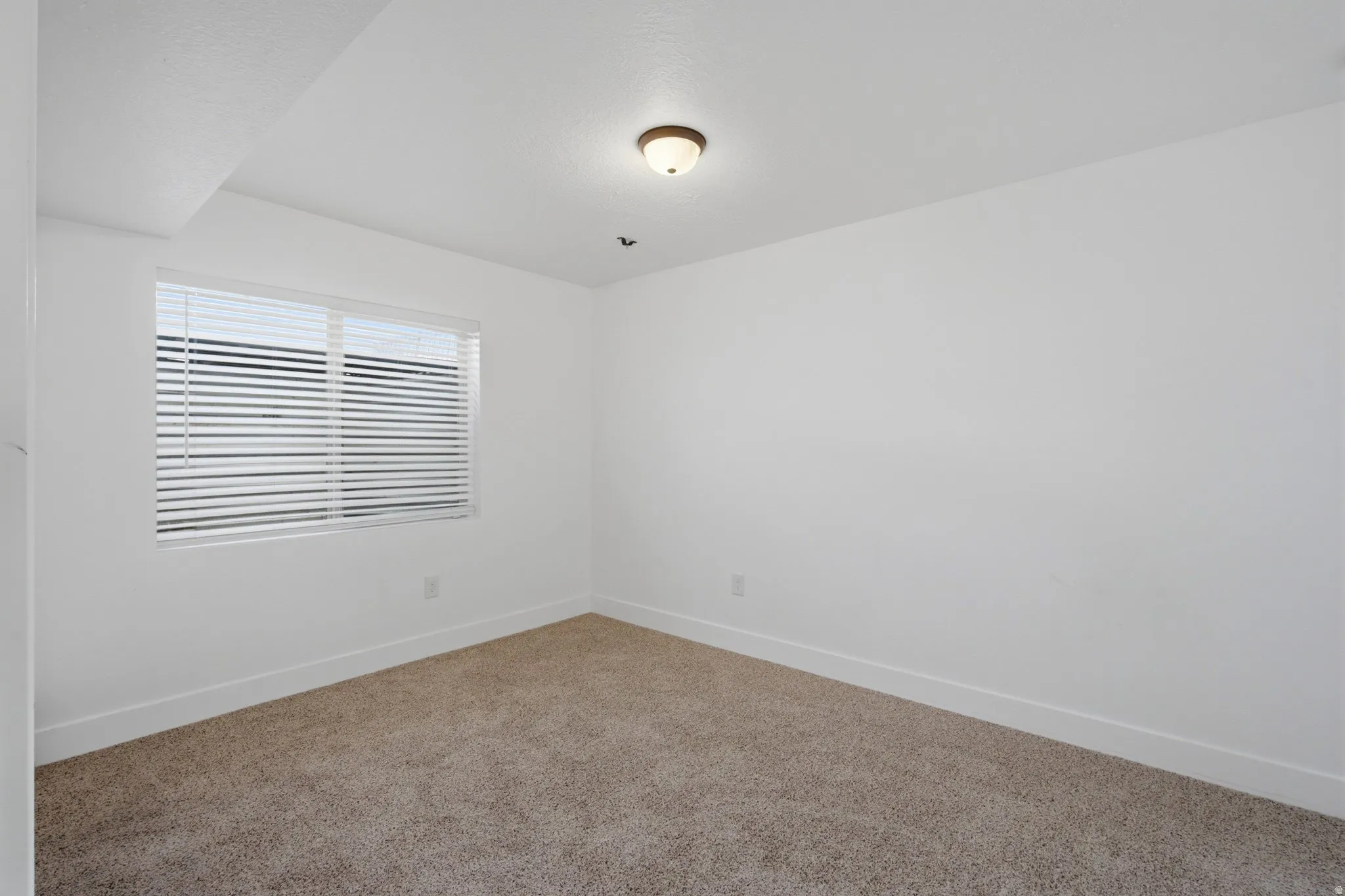 Neutral tone carpeting, white walls, and a window with horizontal blinds