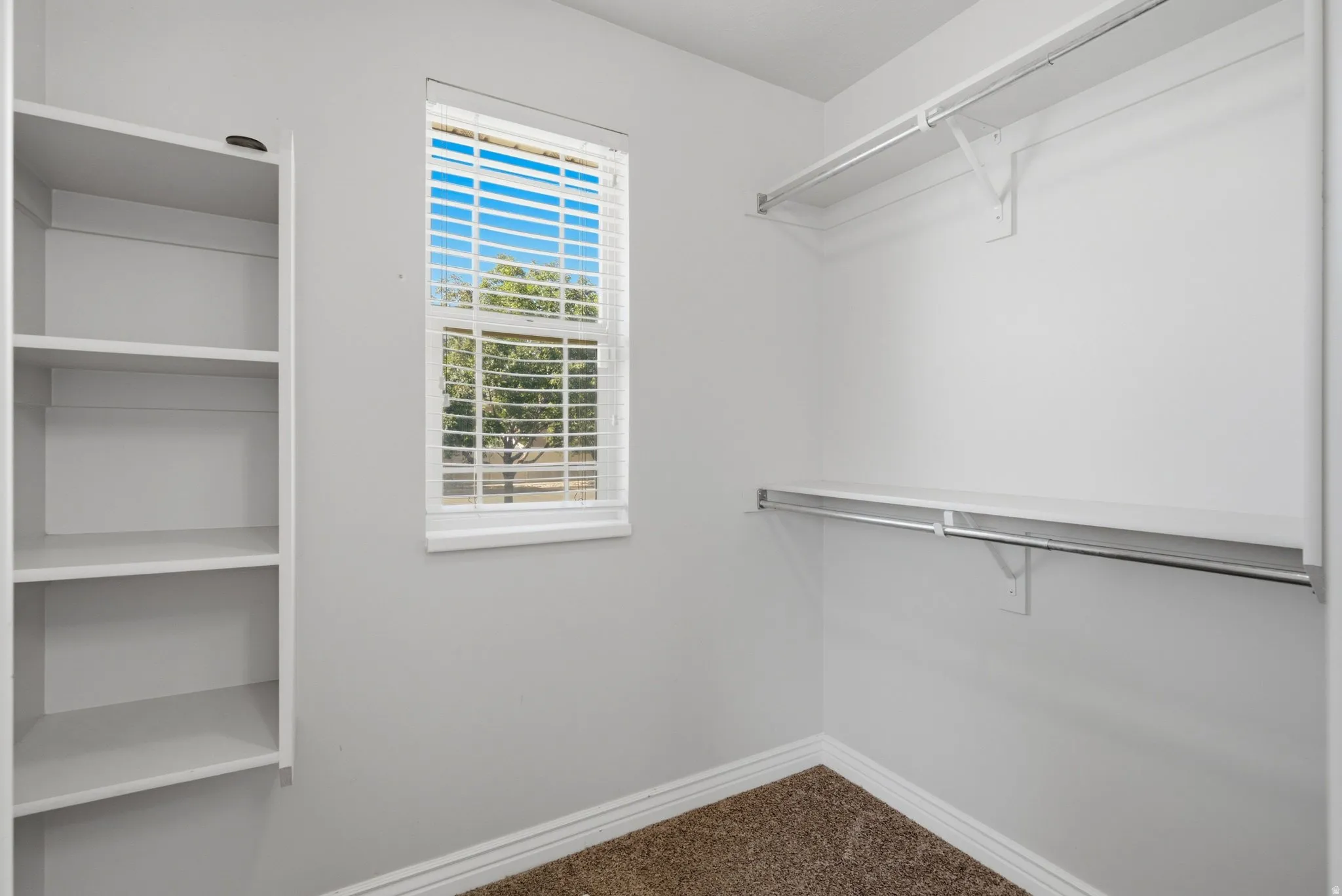 Built-in shelving, window with blinds, wall-mounted shelving, and hanging rods