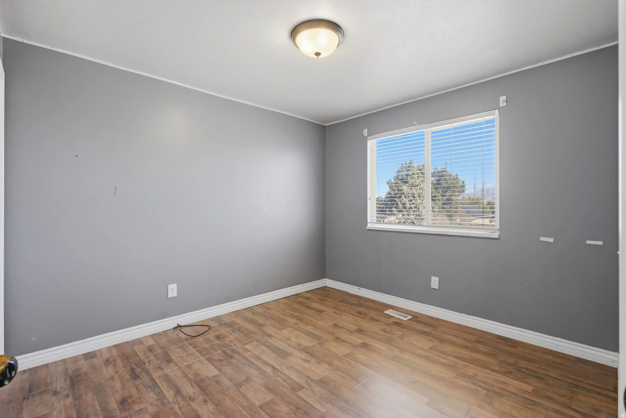 Wood-finish flooring, neutral gray walls, and a ceiling-mounted light fixture
