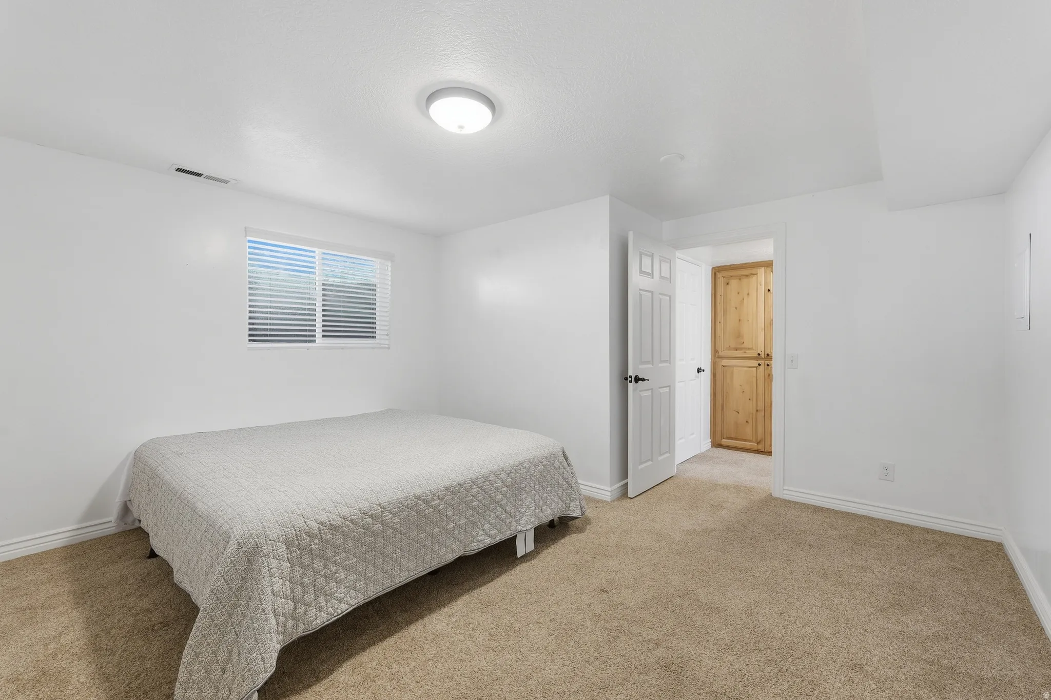 Carpeted flooring, white interior walls, white window blinds, flush mount ceiling light, and a wooden paneled door