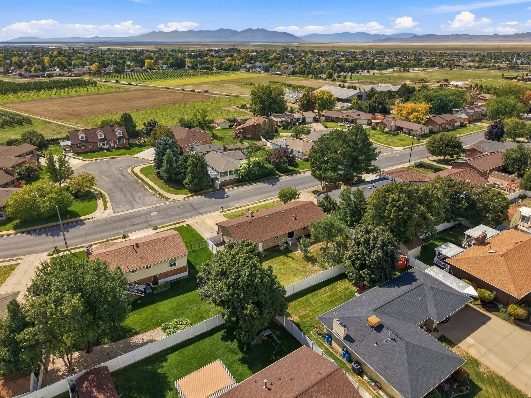 Residential neighborhood with mature trees, established landscaping, and paved streets